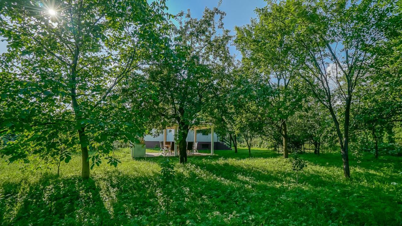 Vila Luna Comarnic Exteriér fotografie